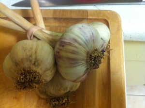 Gorgeous garlic! So fragrant!